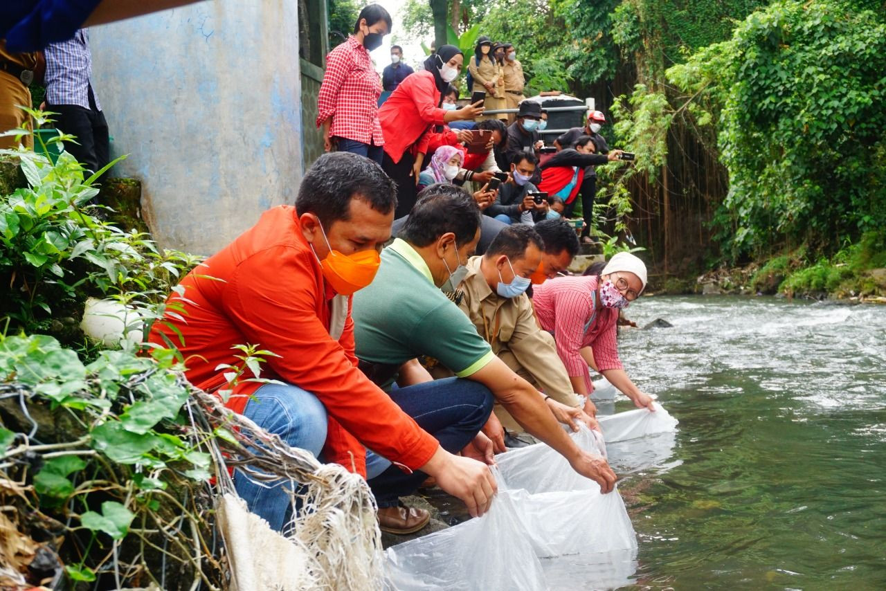 Jaga Kebersihan Sungai, Agar Ikan Bisa Hidup dan Berkembang